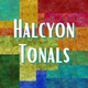 Halcyon Brushed Tonals by Jason Yenter